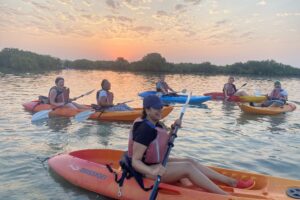 kayaking in mangroves