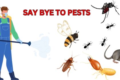 pest control