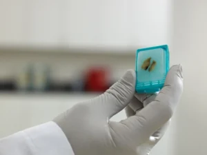 FFPE Tissue Samples