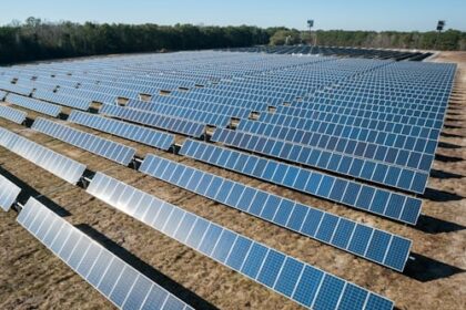 solar panels
