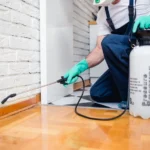 pest control training NYC