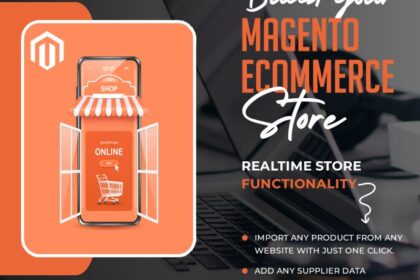 magento consultant