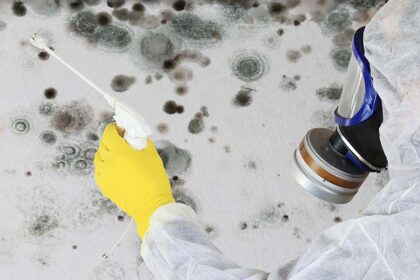 mold remediation services​ in michigan
