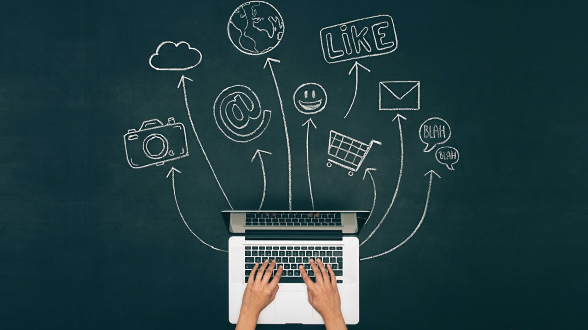 Seo services in noida