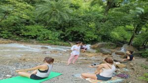 Rejuvenate Your Soul at an Ayurveda Retreat in Rishikesh