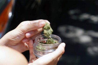 Weed Delivery in Waterloo