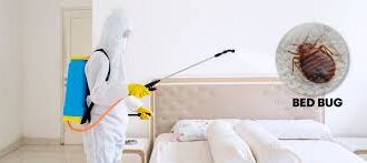 Bedbug Control