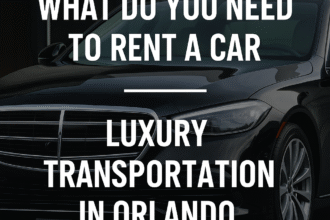 What Do You Need to Rent a Car?