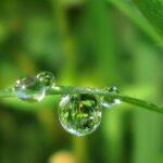 Dew Point Calculator