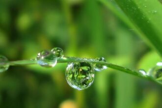 Dew Point Calculator