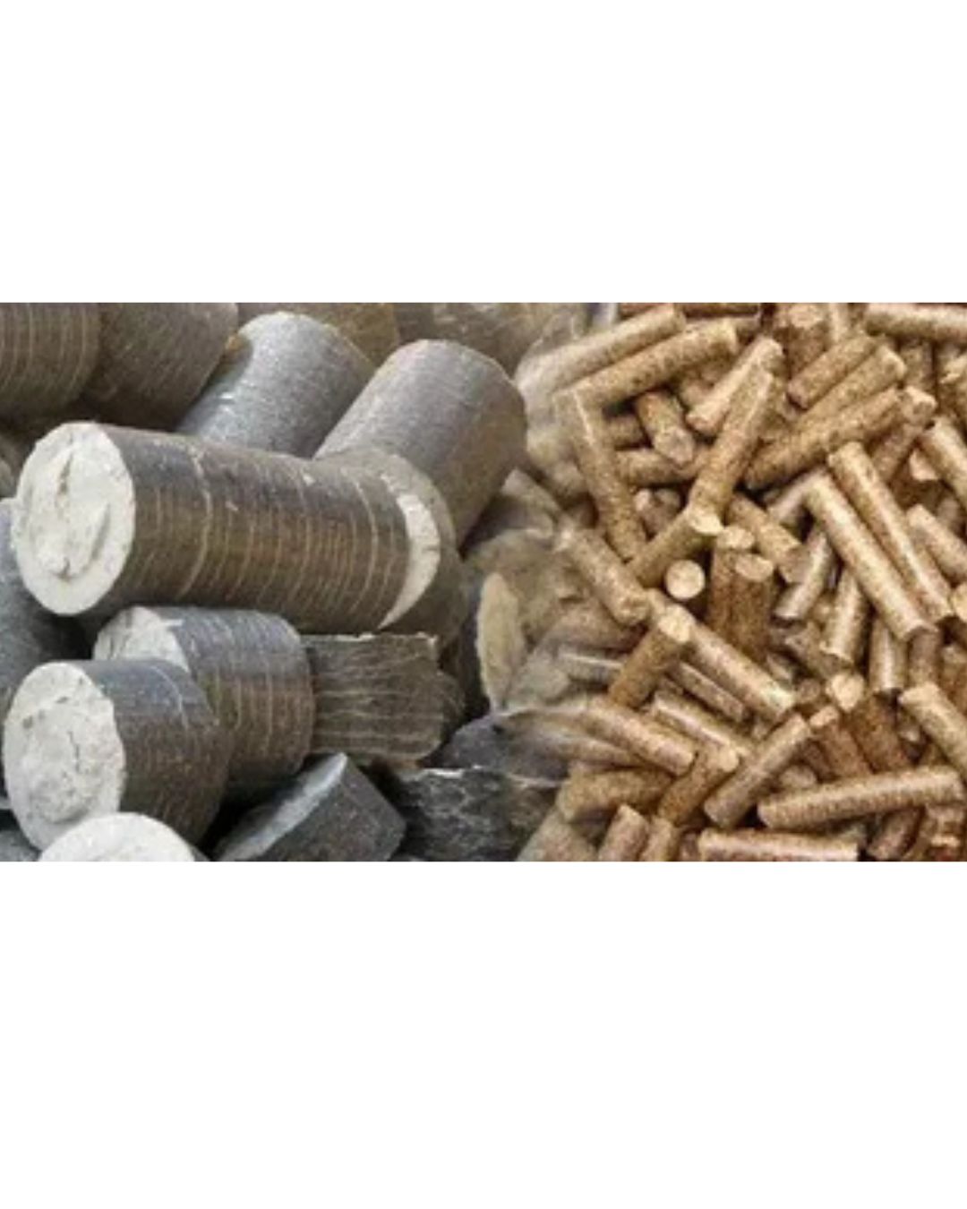 Biomass Briquettes