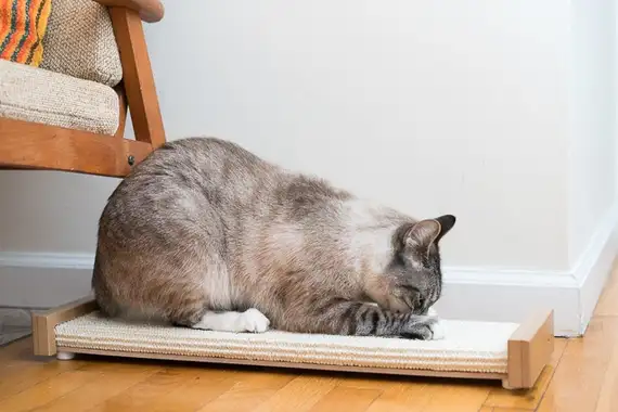cat scratching mat