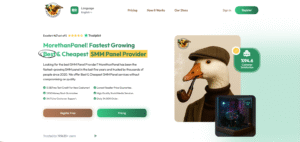morethanpanel