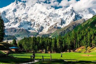 tours by nature explorer tours