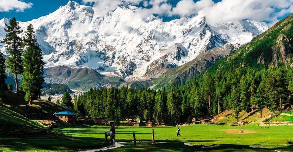 tours by nature explorer tours