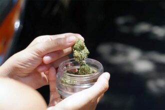 Weed Delivery in Waterloo