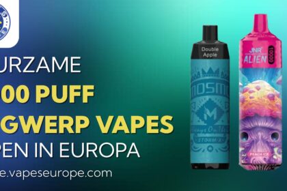 10000 Puff Wegwerpbare Vapes