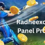 Radheexchange Panel Provider
