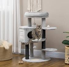 cat scratcher house