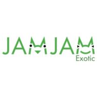 Jam Jam Exotic